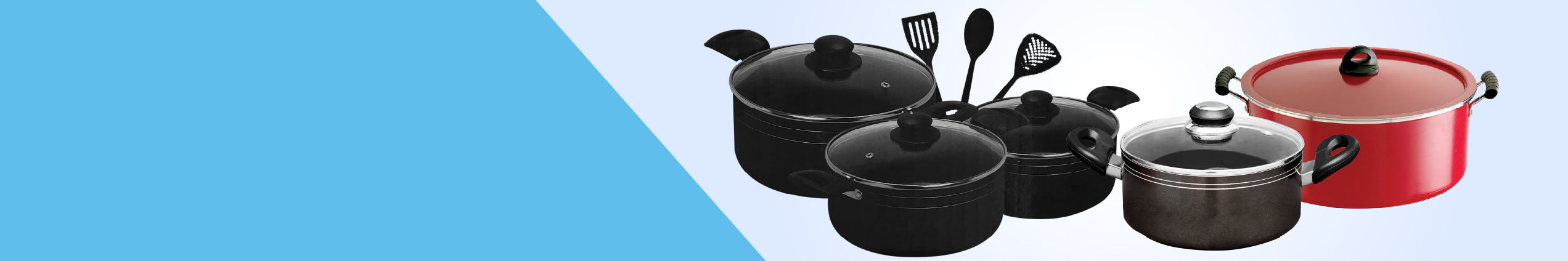 BIRIYANI POT