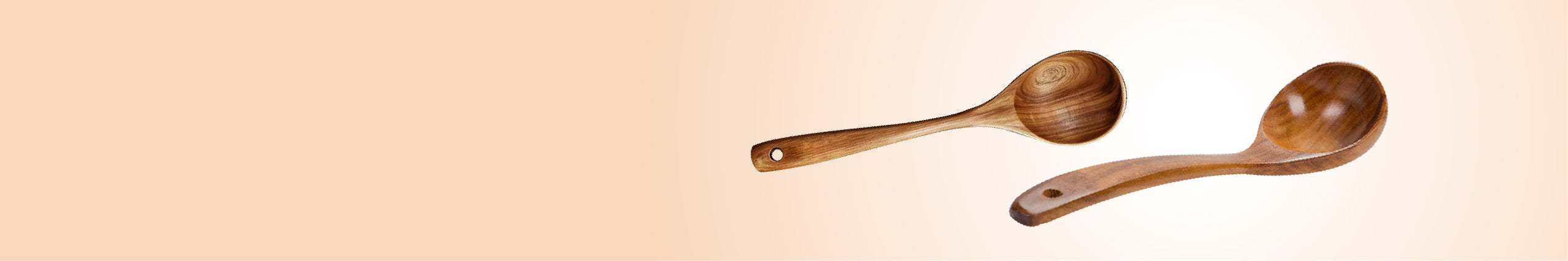 LADLE