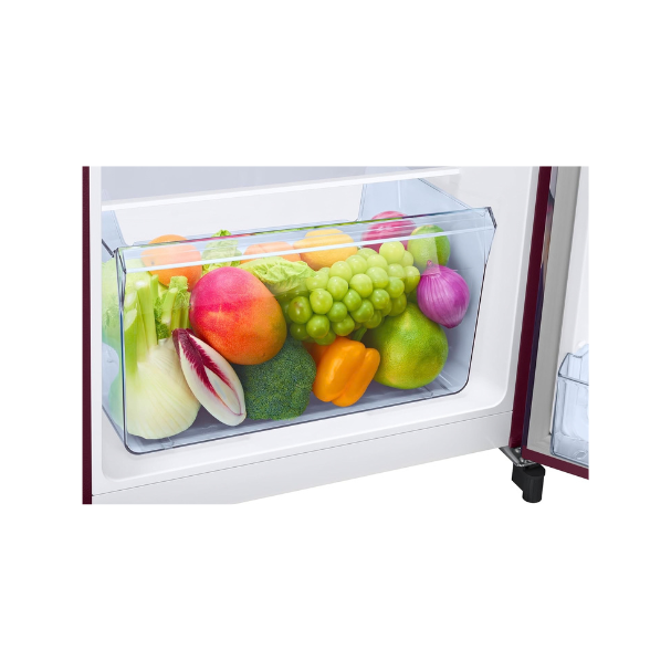 Samsung Refrigerator RR21H2G25WR/HL 189L 5S Wild Lily Red | NATIONAL RADIO ELECTRONICS