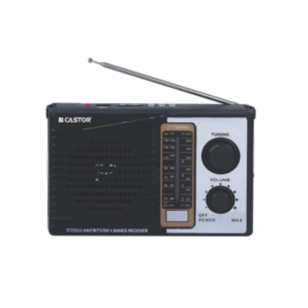 CASTOR RADIO CT FM100 U