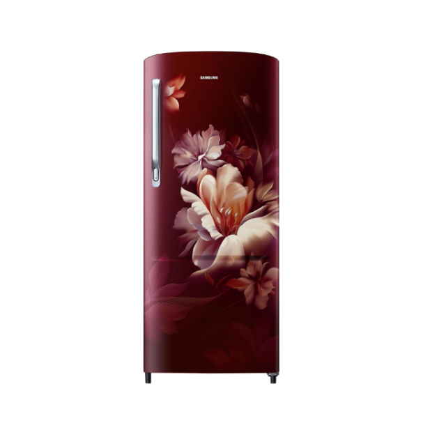 SAMSUNG REF RR20D1723RZ/HL
