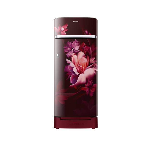 SAMSUNG REF RR23C2H35RZ/HL