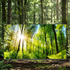 ZUMIOS LED TV 40 SMART